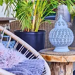 Seasons Raw Nest-adults Only