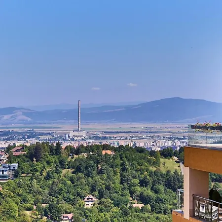 Seasons Raw Nest-adults Only Braşov