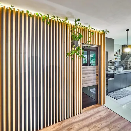 Seasons Raw Nest-adults Only Apartment Brasov