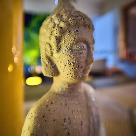 Apartment Seasons Raw Nest-adults Only Brasov