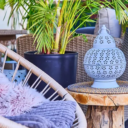 Seasons Raw Nest-adults Only