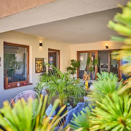 Seasons Raw Nest-adults Only Apartment Brasov