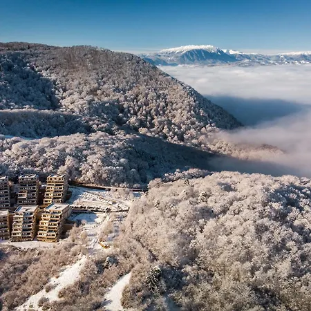 Seasons Raw Nest-adults Only