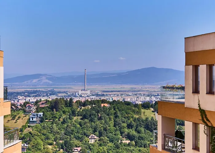 Seasons Raw Nest-adults Only 布拉索夫