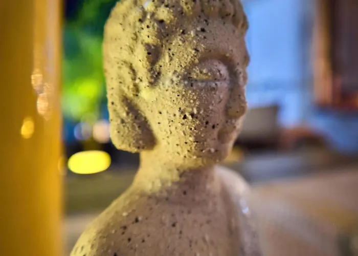 公寓 Seasons Raw Nest-adults Only 布拉索夫