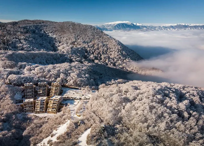 Seasons Raw Nest-adults Only