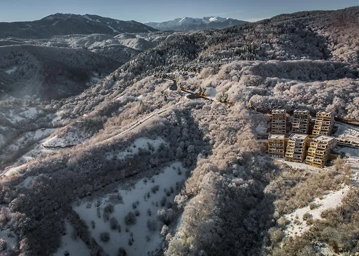 Seasons Raw Nest-adults Only *