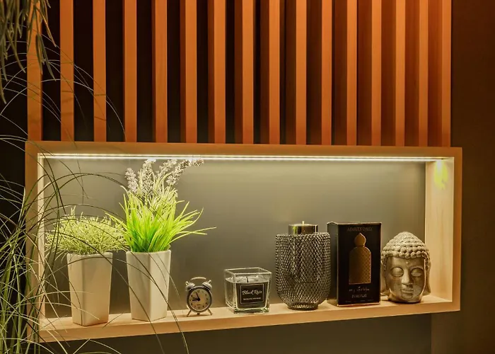 Seasons Raw Nest-adults Only * 布拉索夫